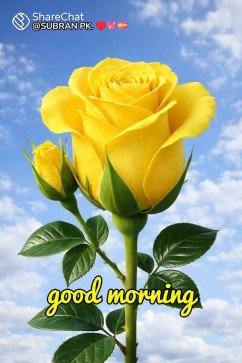 Das Phinix, 47, India