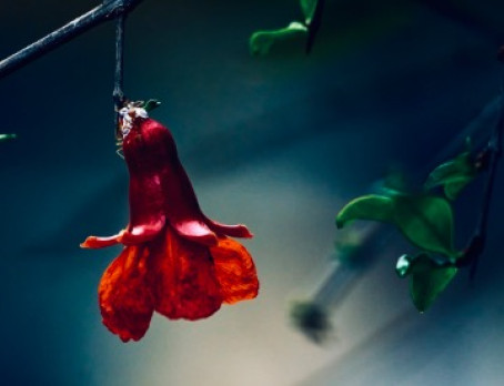 Monicaa-o-my-daallli, 18, India