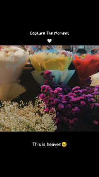 Starlight, 19, India