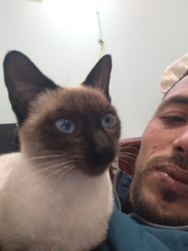 Belfodil Abdelhafid, 36, Algeria