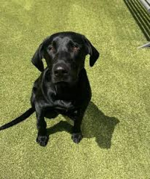 Kadence, 18, United States