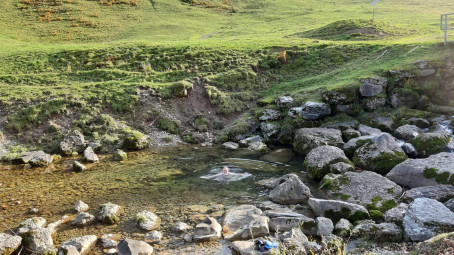 Wolfgang Muumlller, 80, Austria