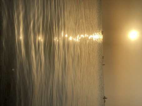 Rajaditya, 29, India