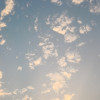 Ankit