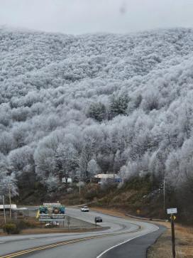 Roscoe2332, 47, United States