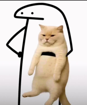 Moon Moona, 19, Algeria