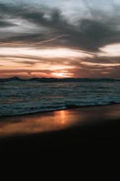 John Harrison, 18, Canada