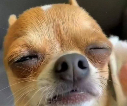 Jep, 19, Philippines