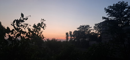 , 19, India