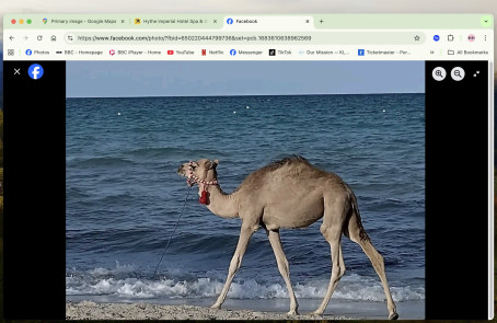 Cazzie85, 40, Tunisia