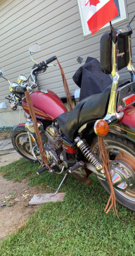 Maverick Spec, 22, Canada