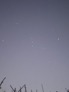 Bubble Gum Face, 99, India