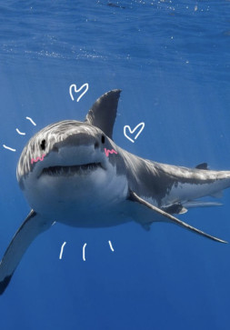 AthleticWitha, 22, United States