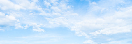 Angela, 33, United States