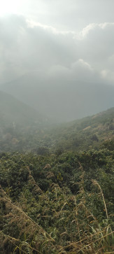 Ashis Kumar Ghosh EE, 23, India