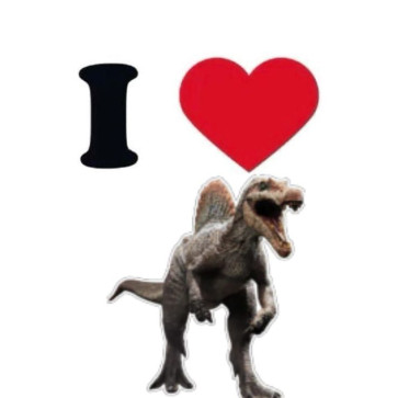 Asley Cole, 18, India