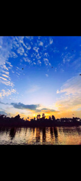 Nishanttt, 87, India