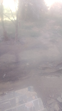 Im Urs1, 48, United Arab Emirates