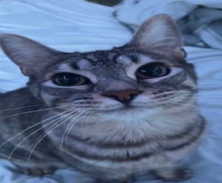 Alexandra Edmonds, 18, United States