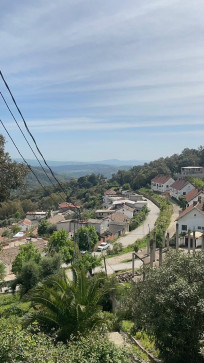 Mahe Ben Amor, 18, Tunisia