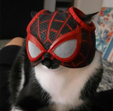 Spideyyy, 19, India