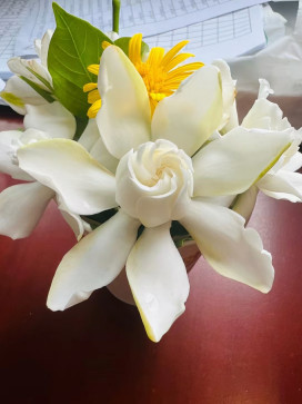 Lydia, 38, Australia