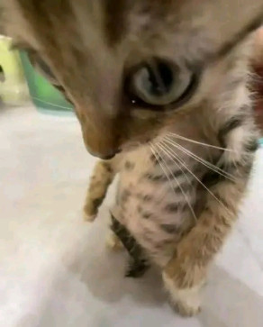 Precious, 20, Philippines