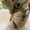 precious