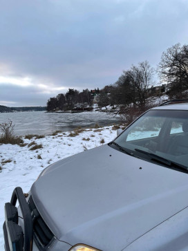 Stephen Viking, 69, Sweden