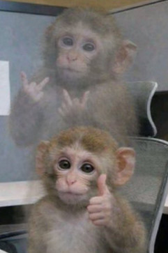 IdkMyNameSo, 23, India