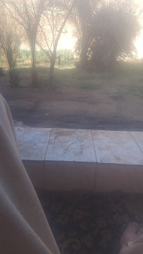 Noe One, 47, United Arab Emirates