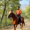 Mohd Daud