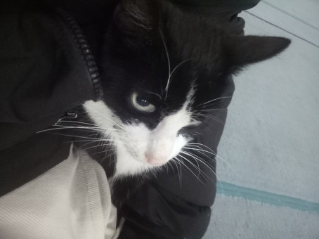 Abdou Maachou, 22, Algeria