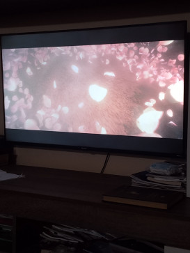 AnnaMaria, 25, Romania