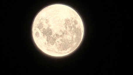 Okay Dockey, 18, India