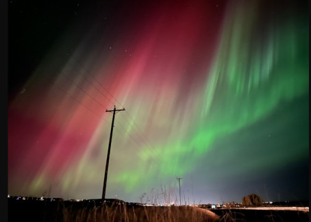 Headcrack, 18, India