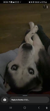 Cookiemunsterlife, 34, United States