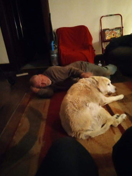 Mike Wolf60, 18, United States