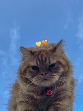 Bsksksjsksj Bsksksbs, 18, India