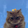 Bsksksjsksj Bsksksbs