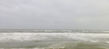 Whythehell Isthis, 18, India