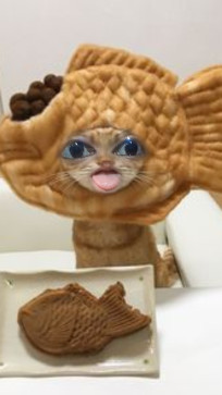 Gigglygoose, 18, India