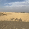 Manish K