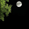 Afnan