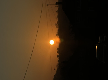 Millie 2, 18, United Kingdom