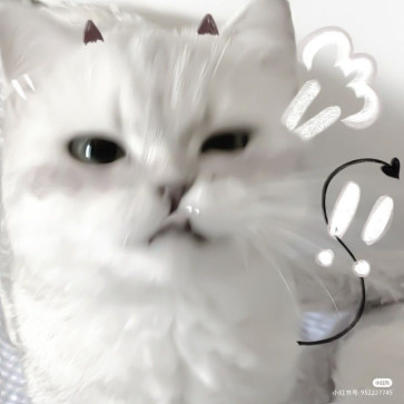 Idk What Am I Doing, 20