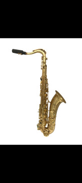 Jose Castaneda, 18, United States