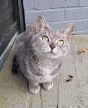 Lisa520, 38, United States