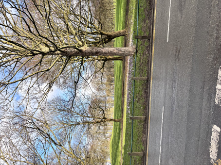 Trushar, 25, United Kingdom