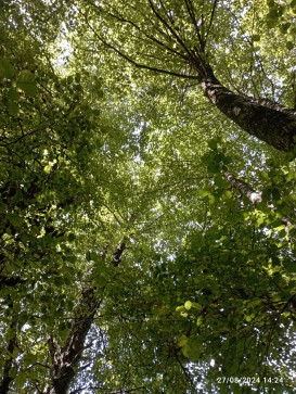 Adams BEL, 39, United Kingdom